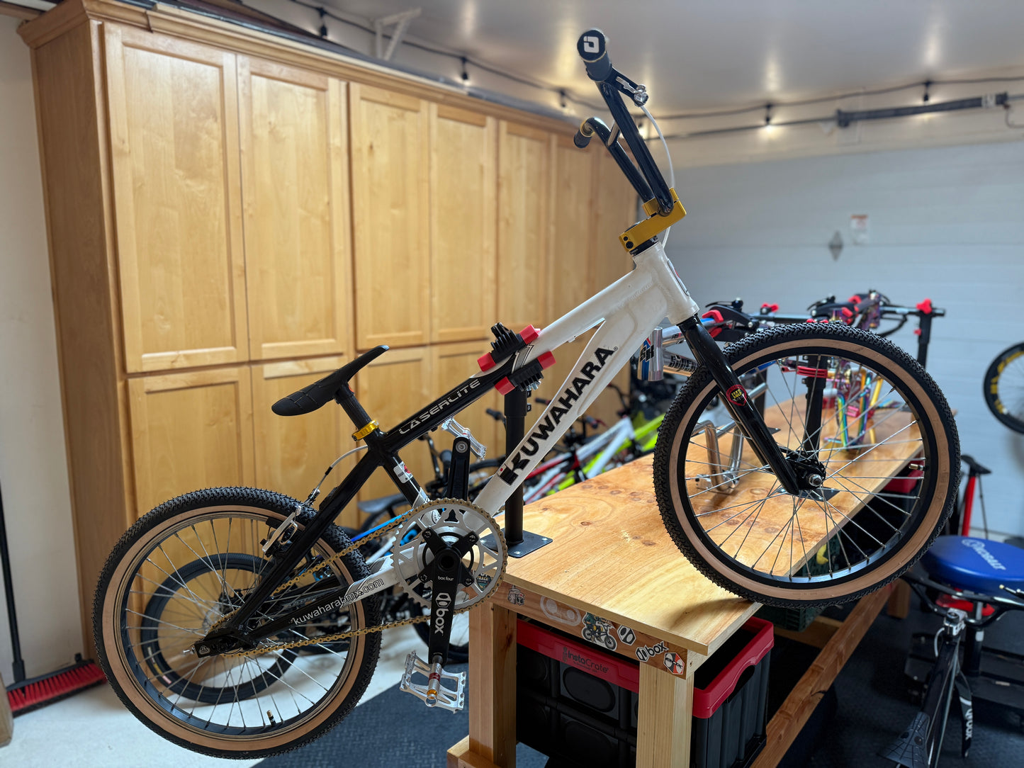 Kuwahara XL & Mini Pair