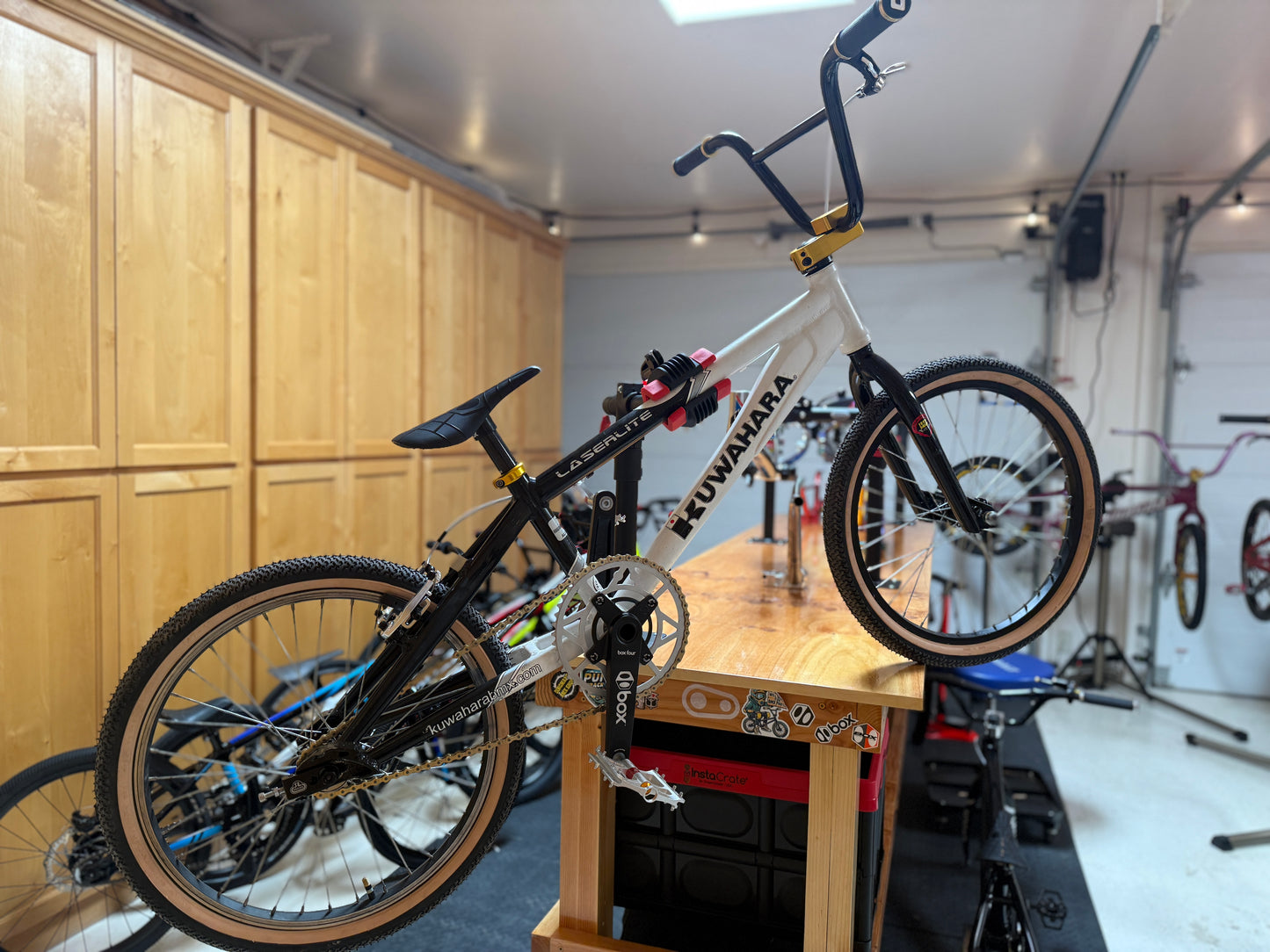 Kuwahara XL & Mini Pair