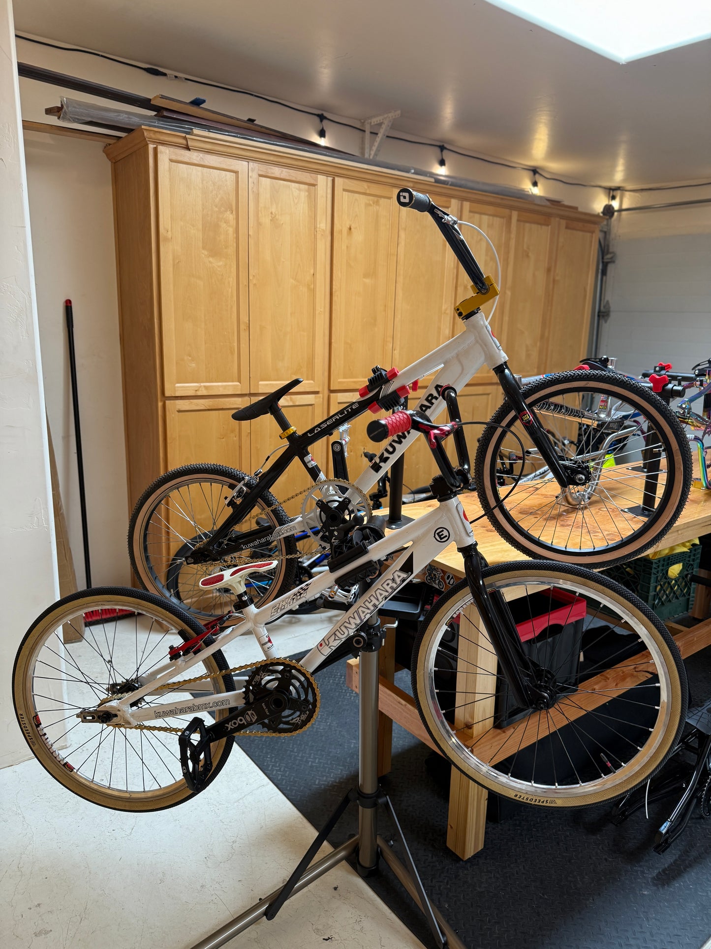 Kuwahara XL & Mini Pair