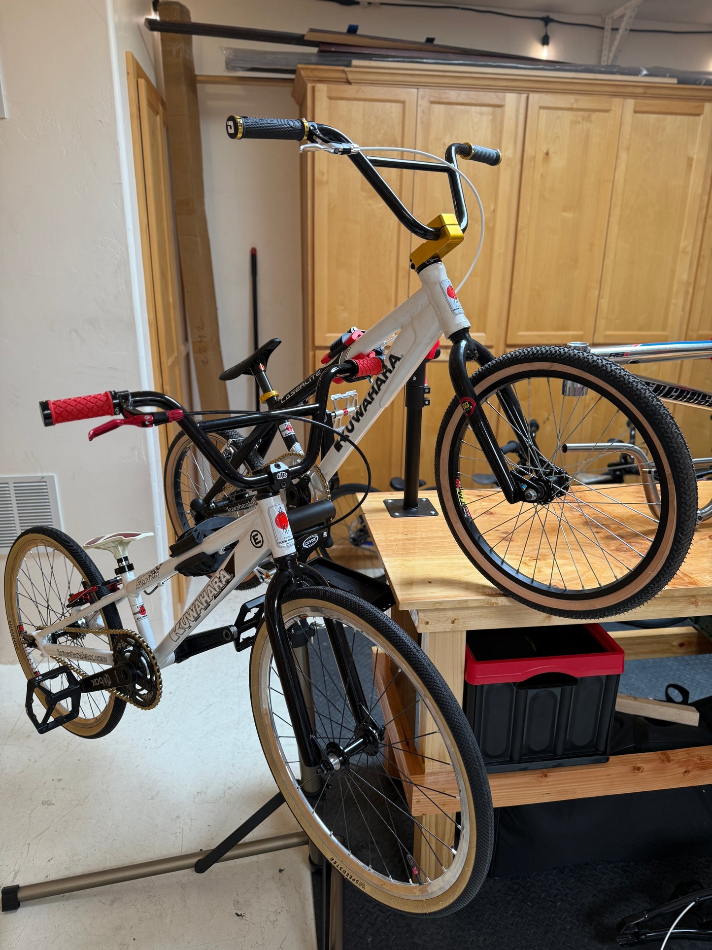 Kuwahara XL & Mini Pair