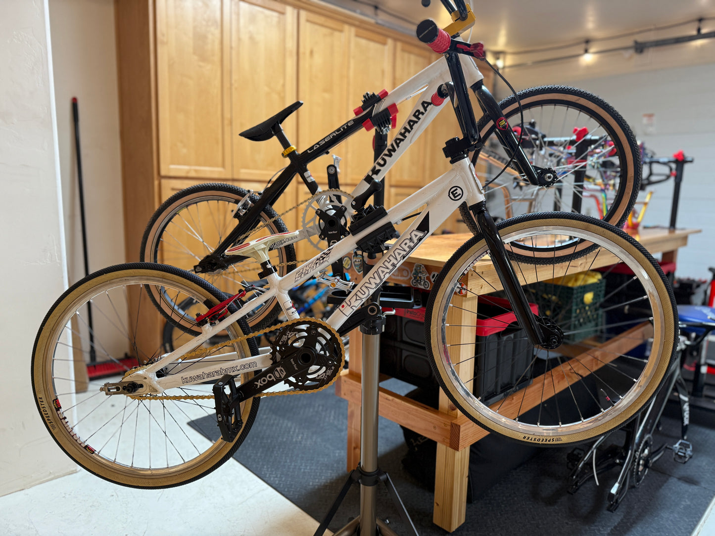 Kuwahara XL & Mini Pair