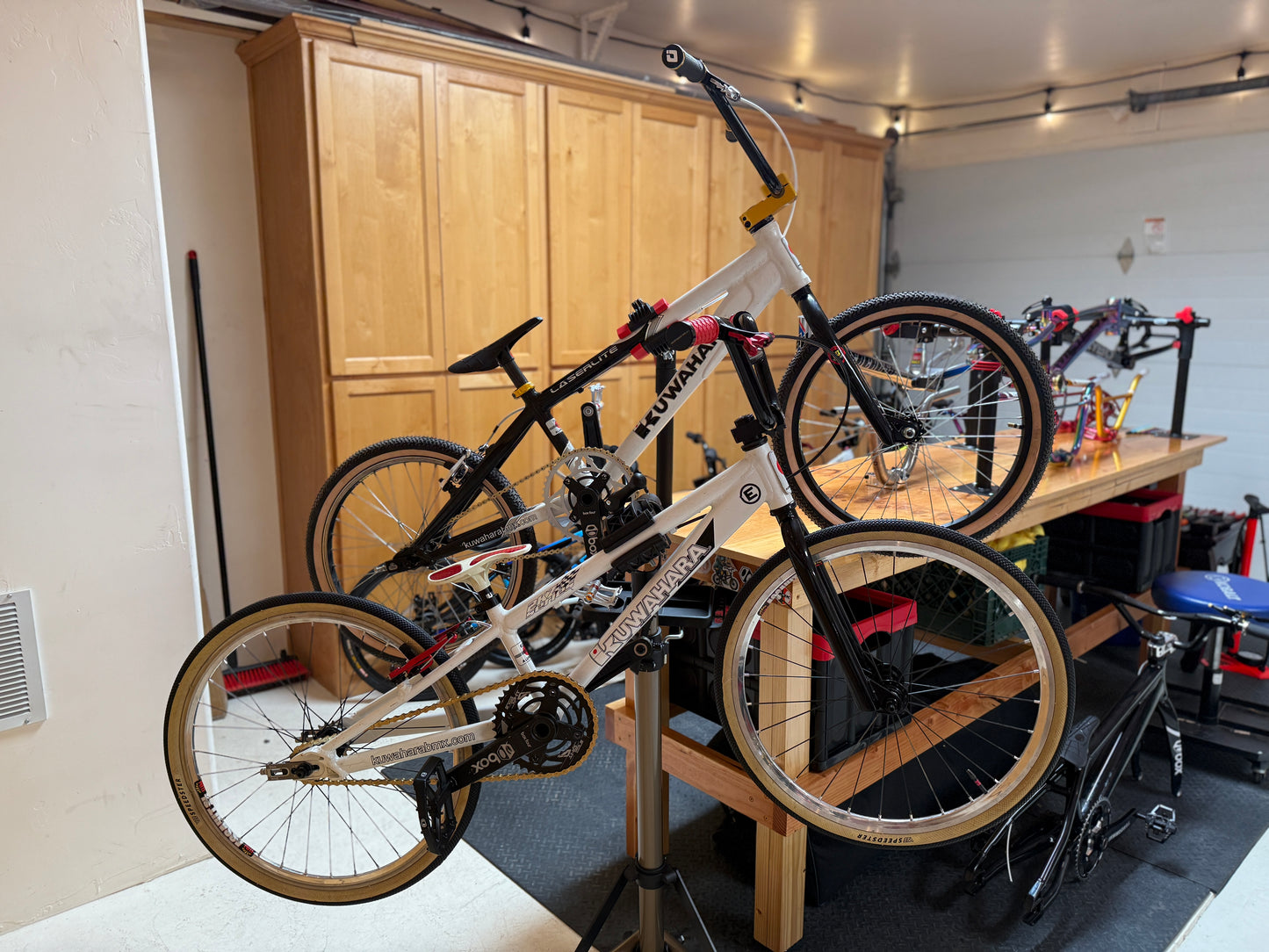 Kuwahara XL & Mini Pair